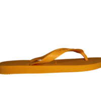 HAVAIANAS SLIM ANIMALS 4000029-1740