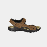 RESERVED 3116-27 BROWN